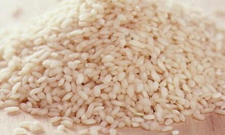 A Perfect Guide to Cooking Arborio Rice in Different Ways