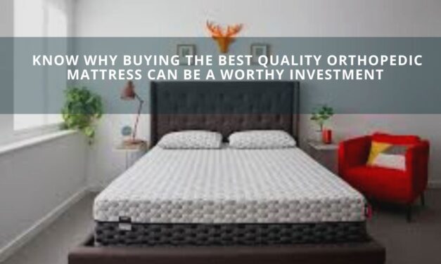 Are Spring Mattresses the Posture Perfect Mattresses in India? Are They Worth the Investment?