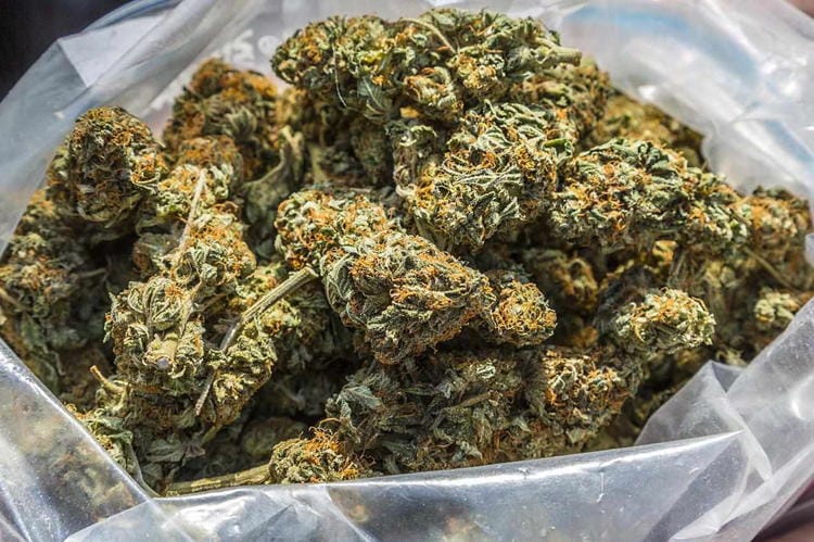 Medical Marijuana Dispensary Toronto Canada