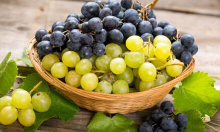 There are numerous health benefits associated with red grapes:-