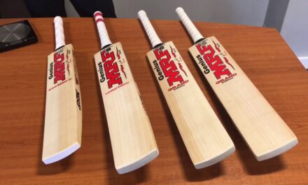English Willow Cricket Bats – Which One is Right For You?