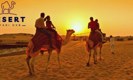 Dubai City Tour 2022 | Desert Safari Dxb