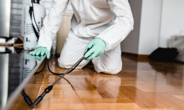 Choosing a Pest Control Company