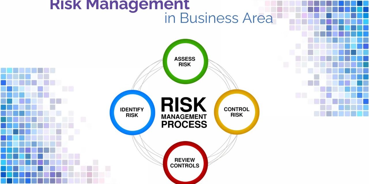 Importance of Risk Management in Business Area
