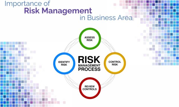 Importance of Risk Management in Business Area