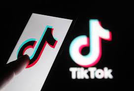 How to download any tiktok video Sound