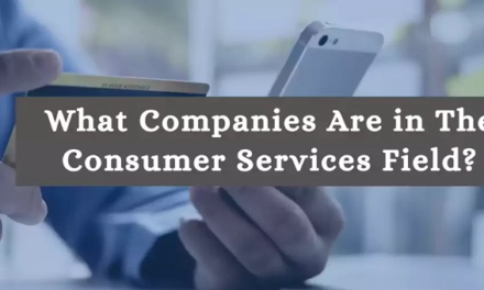 What are the top companies involved in the Consumer Services Field