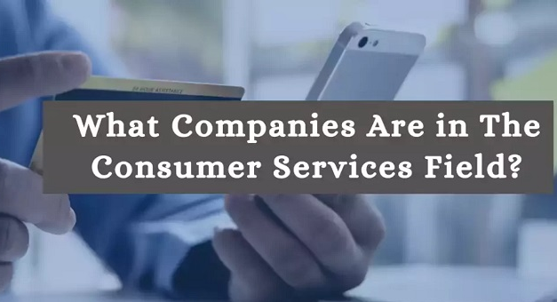 What are the top companies involved in the Consumer Services Field