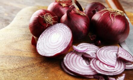 Diet and Sustenance: Onions Have Numerous Medical Advantages