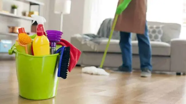 Why Every Homeowner Should Invest in Carpet Cleaning Services