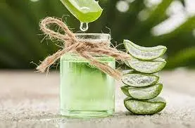 The benefits of aloe vera and how to use it