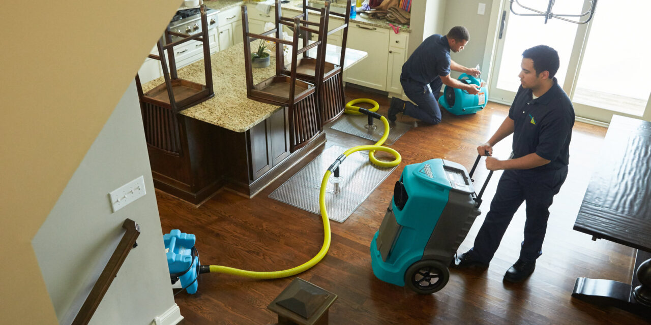 Revamping Perspectives: A Journey through Water Damage Recovery
