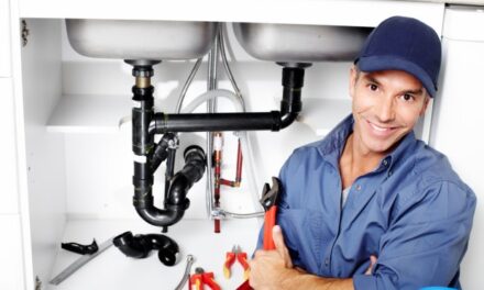 Decoding Trustworthiness: The Role of User Experiences in Online Plumber Reviews