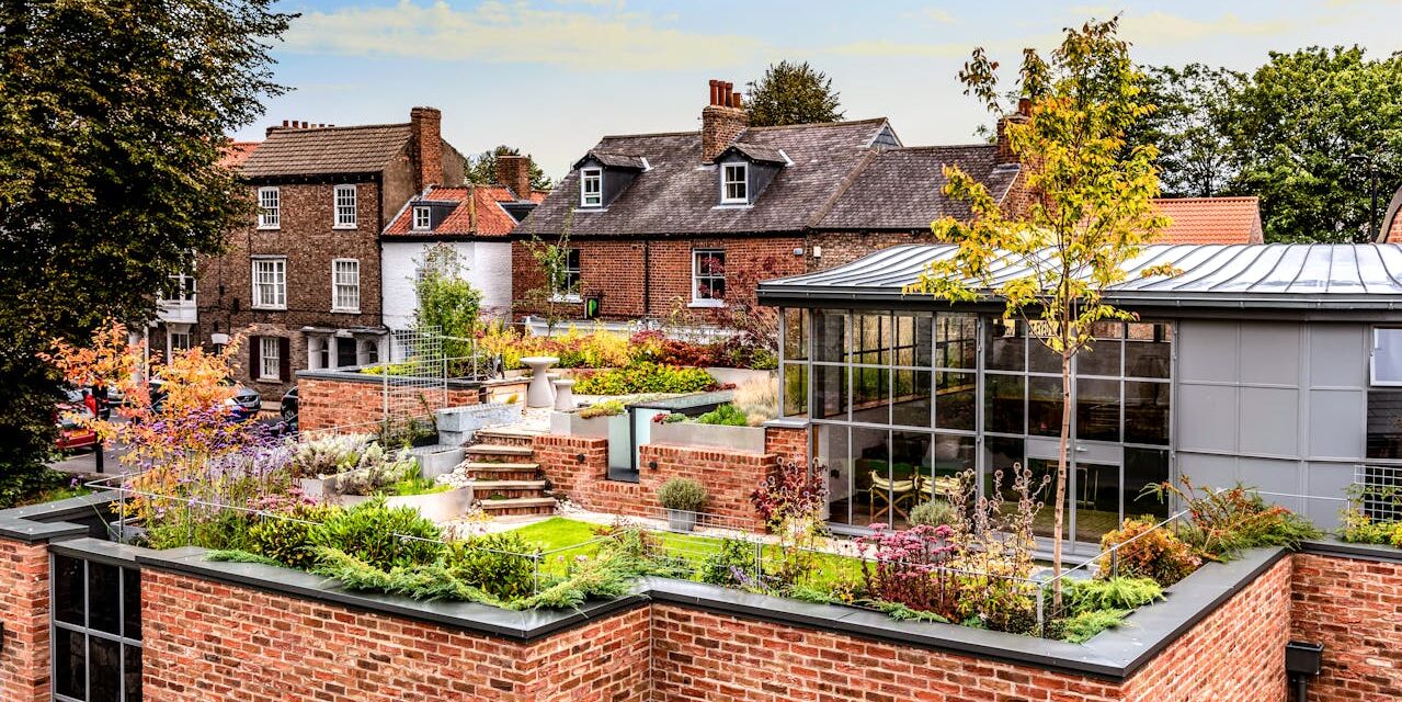 How Rooftop Gardens Promote Tranquility Peace and Meditation