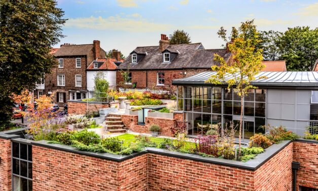 How Rooftop Gardens Promote Tranquility Peace and Meditation