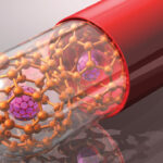 Nanomedicine: The Future of Healthcare