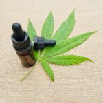 Therapeutic Benefits of Medical Marijuana for Chronic Pain