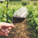 Why Choose a Vineyard For a Night Out