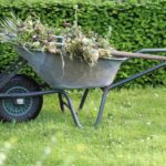 Preventing Overgrowth and Weed Issues