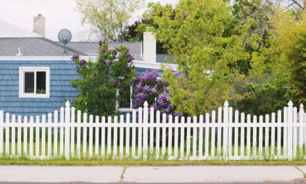 Why Fencing is a Smart Home Investment