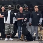 Fischer Van Lines: Denver’s Trusted Moving Experts