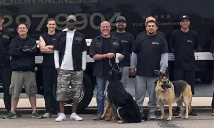 Fischer Van Lines: Denver’s Trusted Moving Experts