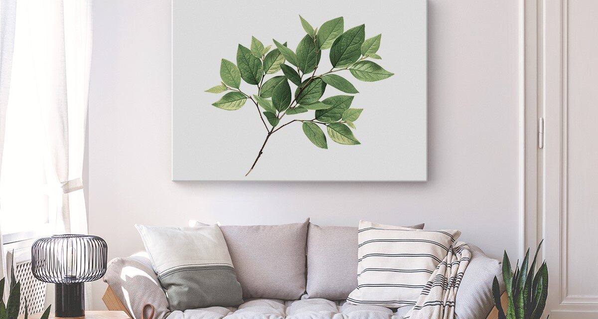 2025 Canvas Wall Art Trends: Turn Your Photos into Bold, Beautiful Prints