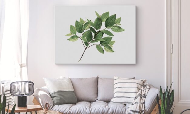 2025 Canvas Wall Art Trends: Turn Your Photos into Bold, Beautiful Prints